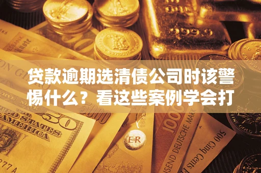 武汉贷款逾期选清债公司时该警惕什么？看这些案例学会打翻身仗