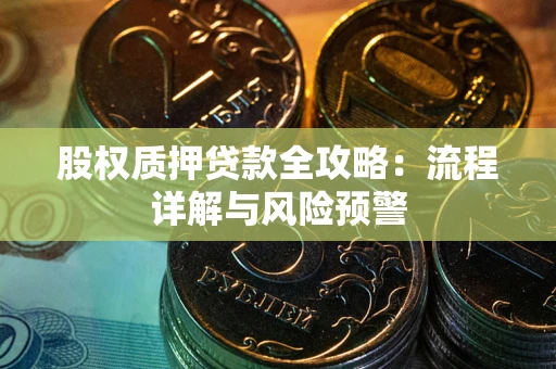 武汉股权质押贷款全攻略：流程详解与风险预警