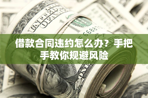 武汉借款合同违约怎么办？手把手教你规避风险