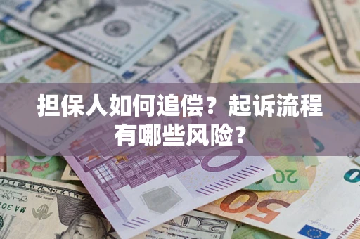 武汉担保人如何追偿？起诉流程有哪些风险？