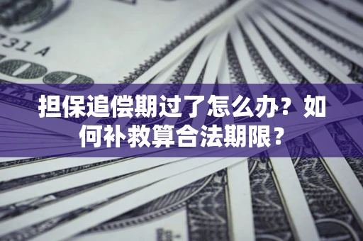 武汉担保追偿期过了怎么办？如何补救算合法期限？