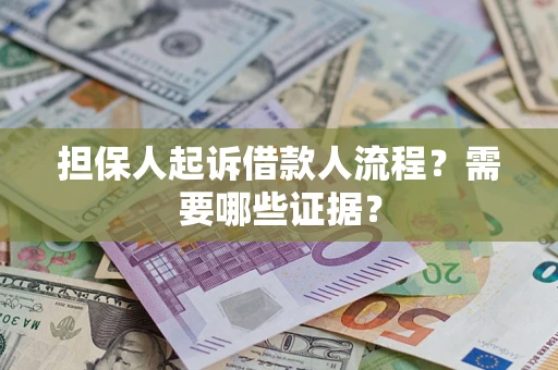 武汉担保人起诉借款人流程？需要哪些证据？