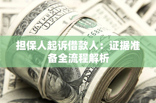 武汉担保人起诉借款人：证据准备全流程解析