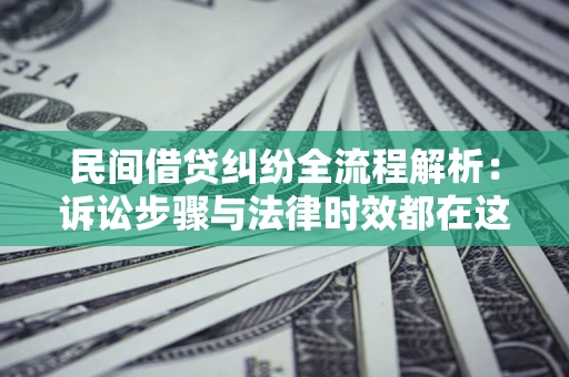 武汉民间借贷纠纷全流程解析：诉讼步骤与法律时效都在这儿了