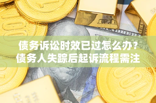 武汉债务诉讼时效已过怎么办？债务人失踪后起诉流程需注意什么？