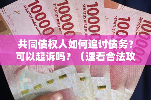 武汉共同债权人如何追讨债务？可以起诉吗？（速看合法攻略）