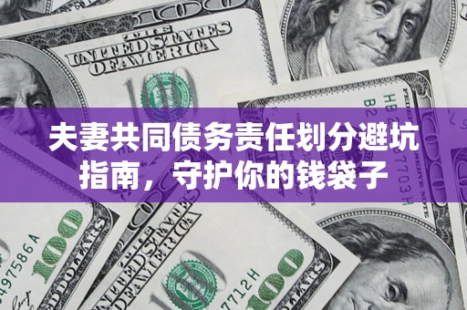 武汉夫妻共同债务责任划分避坑指南，守护你的钱袋子