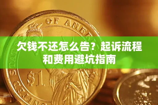 武汉欠钱不还怎么告？起诉流程和费用避坑指南