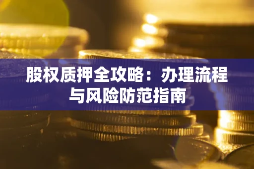 武汉股权质押全攻略：办理流程与风险防范指南