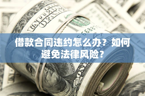 武汉借款合同违约怎么办？如何避免法律风险？