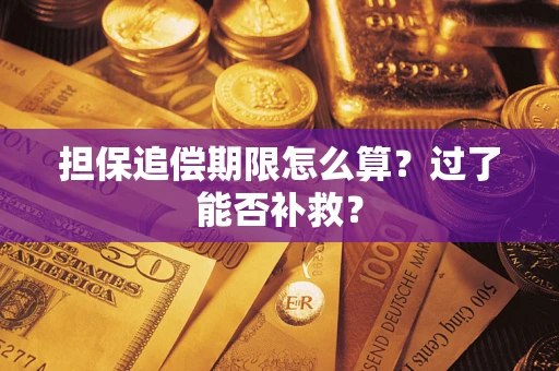 武汉担保追偿期限怎么算？过了能否补救？